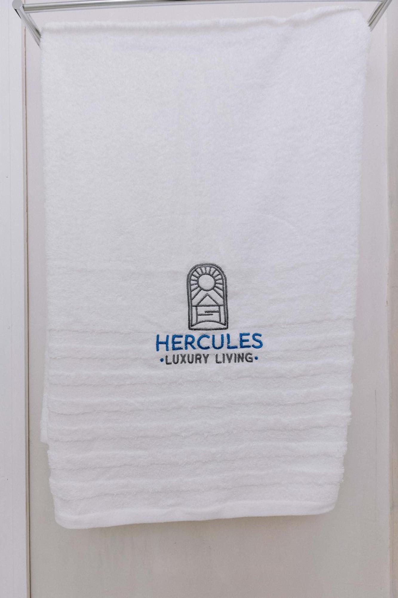 Hercules Luxury Living Aparthotel Náousa Exterior photo